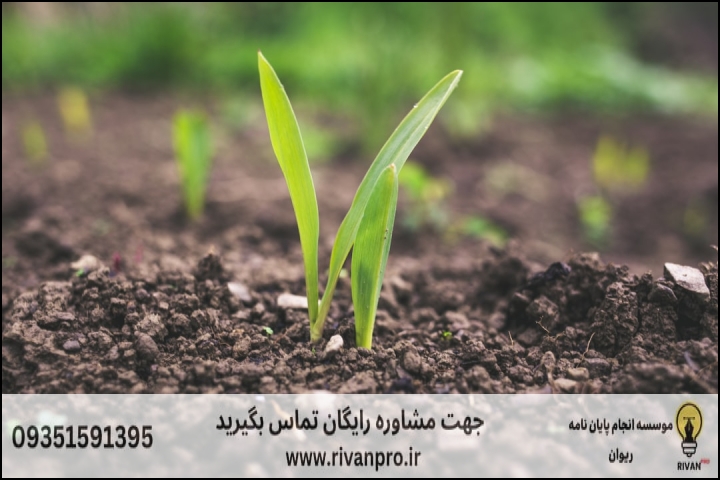 10 بهترین موسسه انجام پایان نامه رشته حاصلخیزی خاک وتغذیه گیاه — تصویر 3