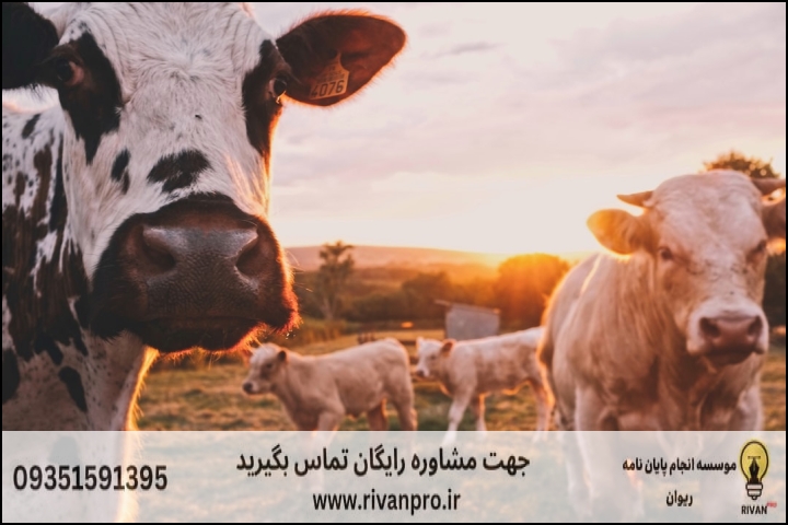 10 بهترین موسسه انجام پایان نامه رشته تغذیه دام — تصویر 2