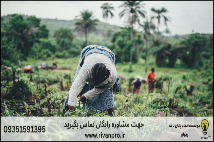 10 بهترین موسسه انجام پایان نامه رشته جغرافیا مدیریت توسعه پایدار روستایی — تصویر 2