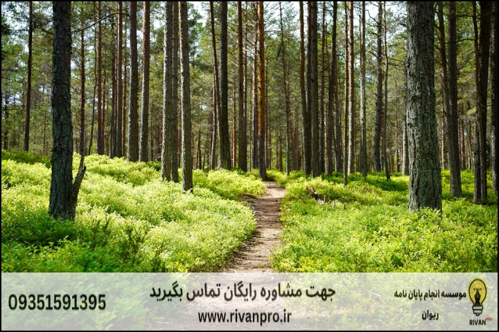 10 بهترین موسسه انجام پایان نامه رشته اکوتوریسم