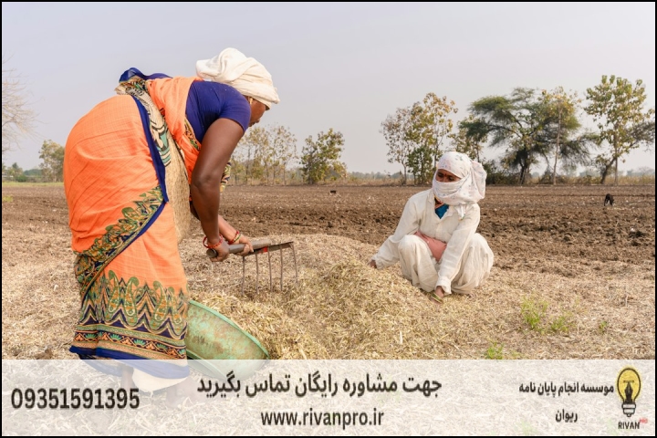 چالش‌های خاص پایان‌نامه رشته توسعه محلی روستایی