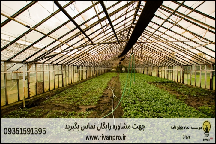 10 بهترین موسسه انجام پایان نامه رشته باغبانی گرایش تولید محصولات گلخانه ای — تصویر 2