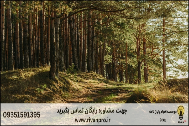 10 بهترین موسسه انجام پایان نامه رشته مهندسی جنگل — تصویر 1