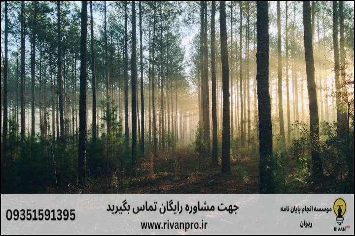 10 بهترین موسسه انجام پایان نامه رشته مهندسی جنگل — تصویر 3