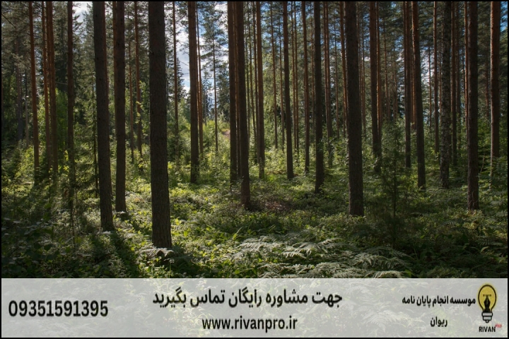 10 بهترین موسسه انجام پایان نامه رشته علوم زیستی جنگل — تصویر 2