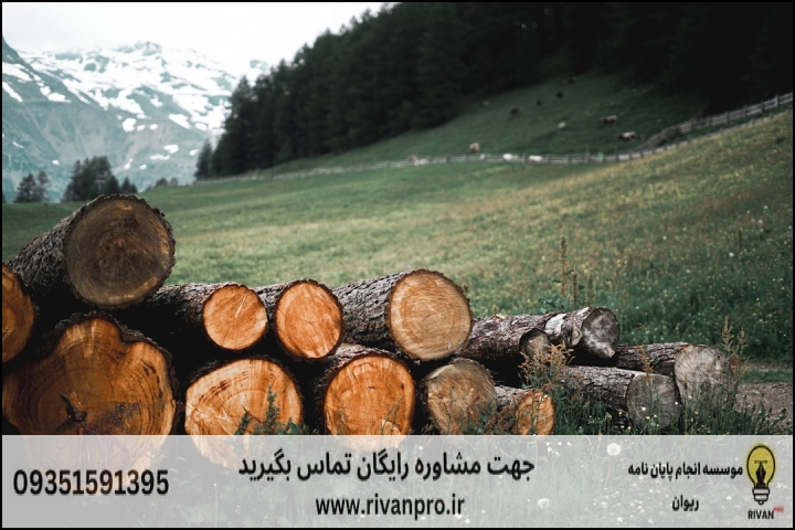 10 بهترین موسسه انجام پایان نامه رشته مدیریت صنایع چوب و فرآورده های سلولزی — تصویر 3