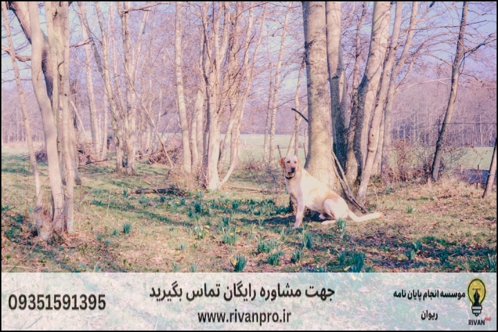 10 بهترین موسسه انجام پایان نامه رشته کشاورزی گرایش اصلاح نباتات — تصویر 3