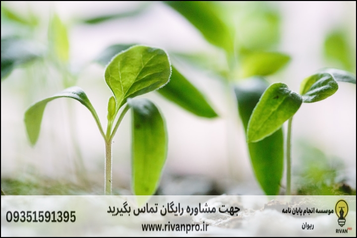 10 بهترین موسسه انجام پایان نامه رشته ژنتیک و به نژادی گیاهی — تصویر 2