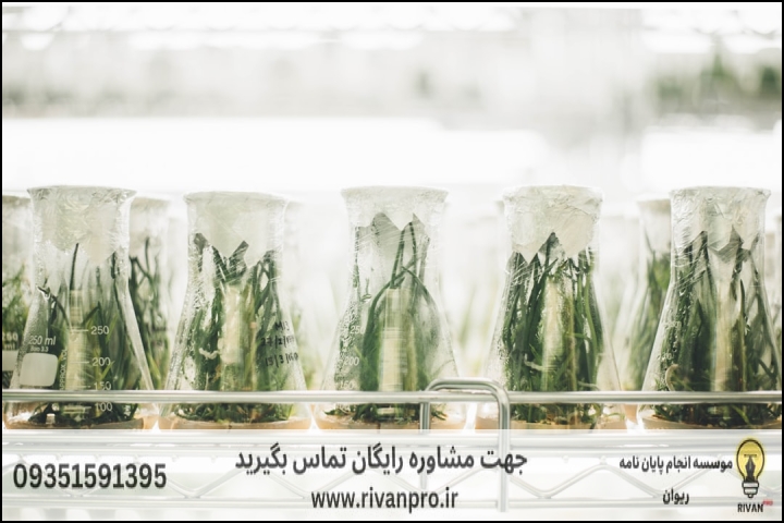 10 بهترین موسسه انجام پایان نامه رشته علوم و تکنولوژی بذر — تصویر 3