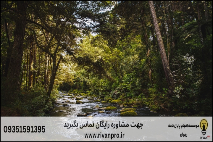 10 بهترین موسسه انجام پایان نامه رشته اقتصاد منابع طبیعی و محیط زیست — تصویر 2