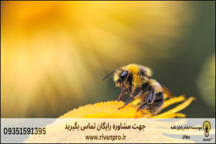10 بهترین موسسه انجام پایان نامه رشته علوم دامی گرایش زنبور عسل — تصویر 3