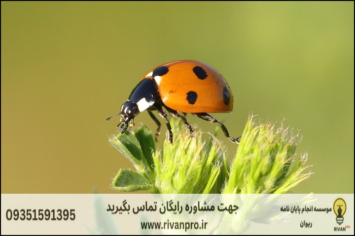 10 بهترین موسسه انجام پایان نامه رشته حشره شناسی کشاورزی — تصویر 3
