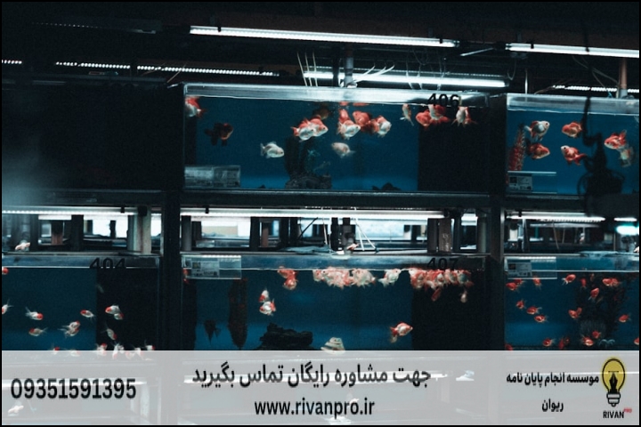 10 بهترین موسسه انجام پایان نامه رشته بوم شناسی آبزیان — تصویر 3
