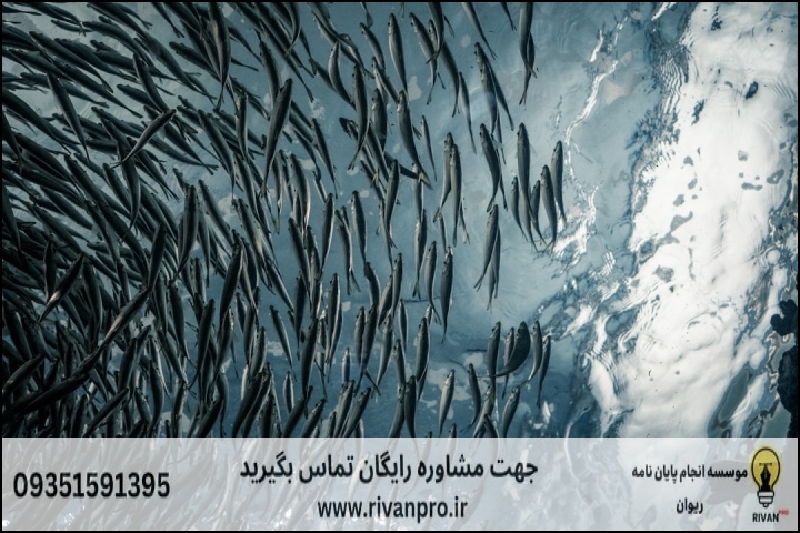 10 بهترین موسسه انجام پایان نامه رشته صید و بهره برداری آبزیان — تصویر 3