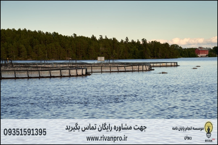 10 بهترین موسسه انجام پایان نامه رشته فرآوری محصولات شیلاتی — تصویر 3