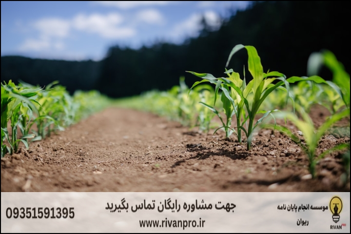 10 بهترین موسسه انجام پایان نامه رشته مکانیک بیوسیستم فناوری پس از برداشت — تصویر 2