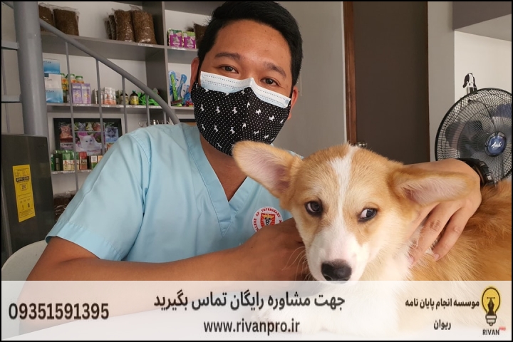 مقدمه: چرا انتخاب موسسه مناسب برای پایاننامه فیزیولوژی دامپزشکی حیاتی است؟
