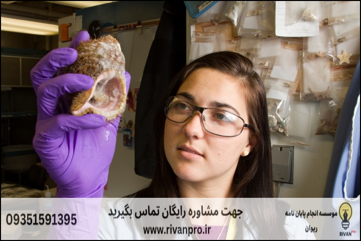 معیارهای انتخاب بهترین موسسه برای پایاننامه باستانسنجی