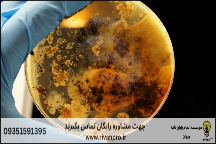 10 بهترین موسسه انجام پایان نامه رشته بهداشت و کنترل کیفی مواد غذایی